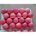 /msite/products/detail/productid/54855479/id/542998.html